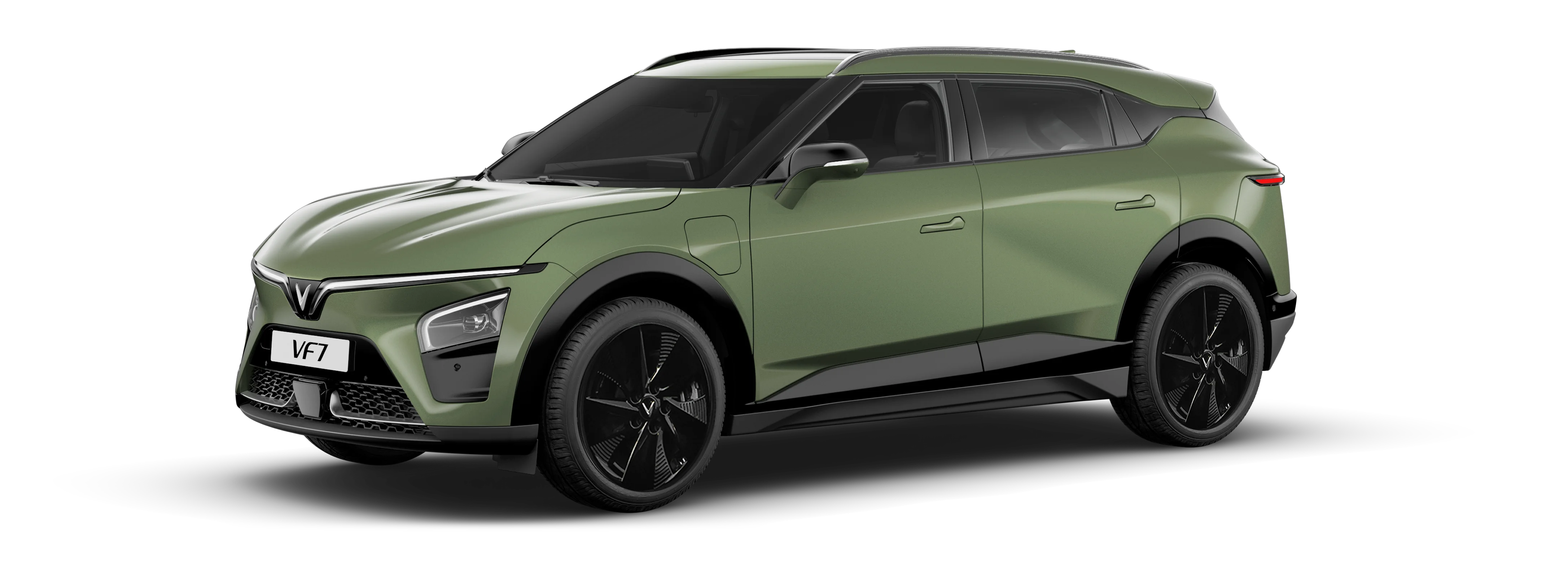 Urban Mint